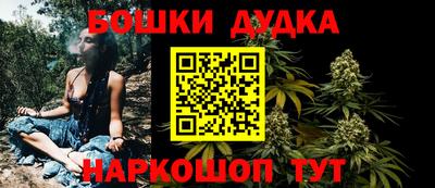 индика Конаково