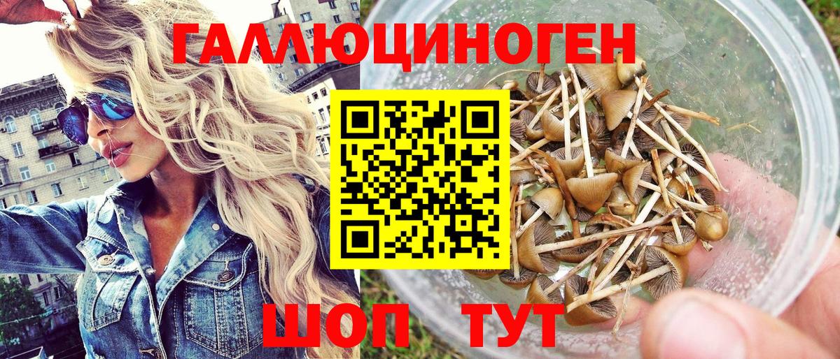 Псилоцибиновые грибы прущие грибы Иваново