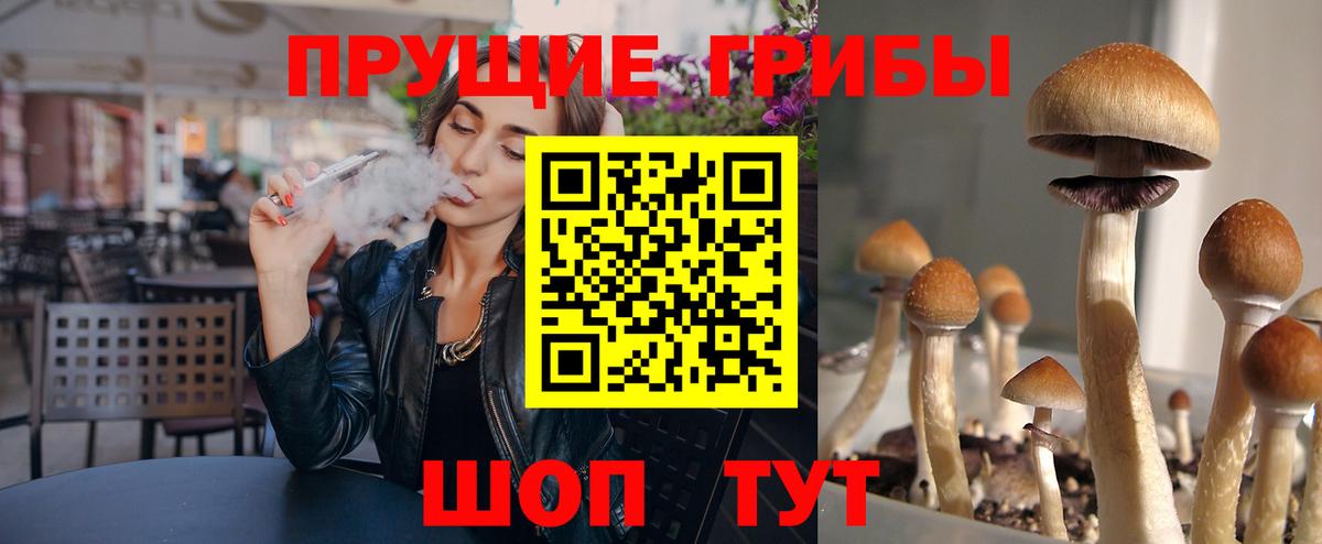 Псилоцибиновые грибы GOLDEN TEACHER  Галлюциногенные грибы ЛСД  Иваново  Вход с VPN 